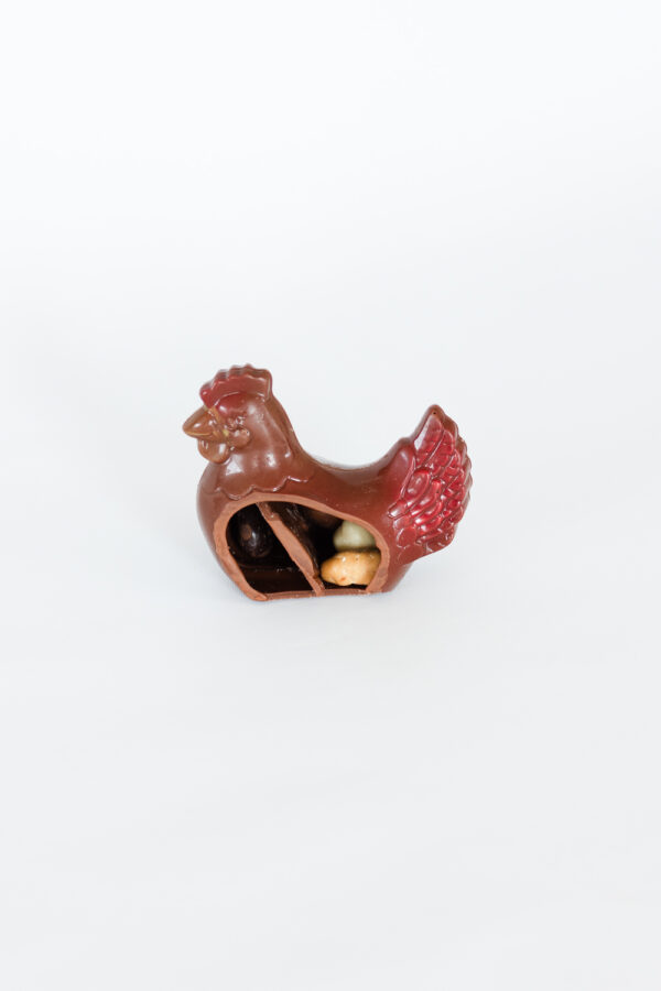 Poules classiques – Image 5