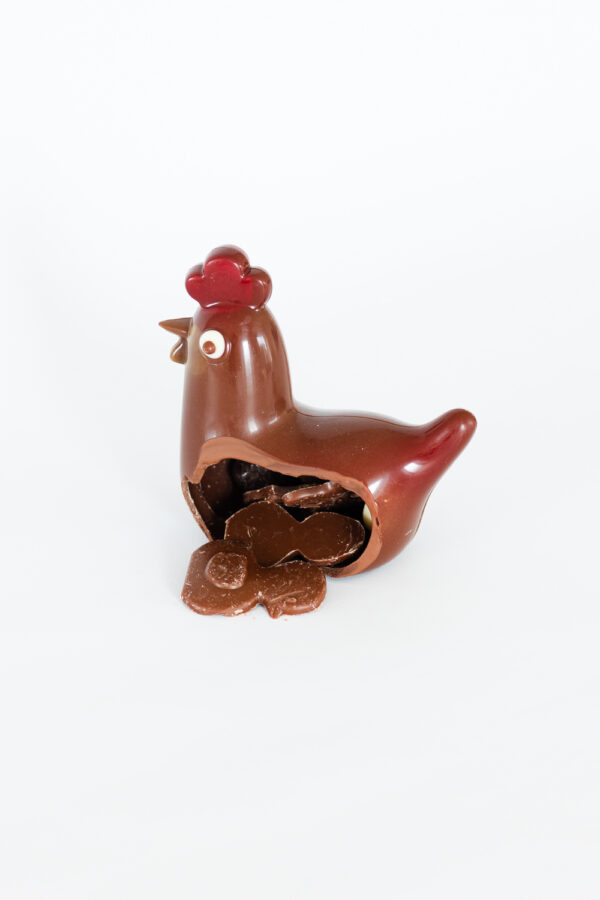 Poules classiques – Image 6