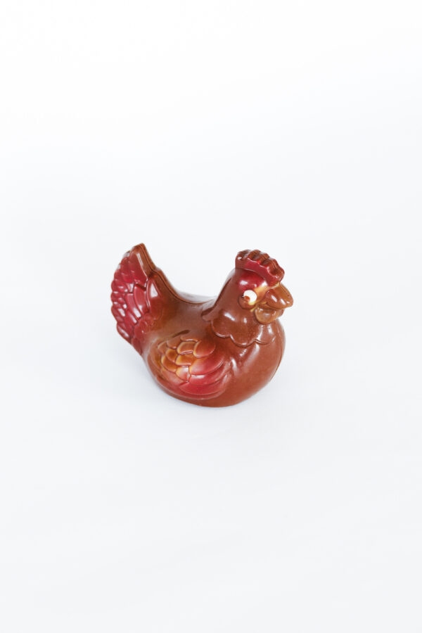 Poules classiques – Image 7