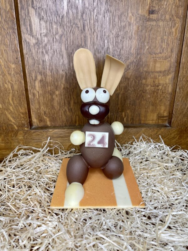 Le lapin en pleine course – Image 3