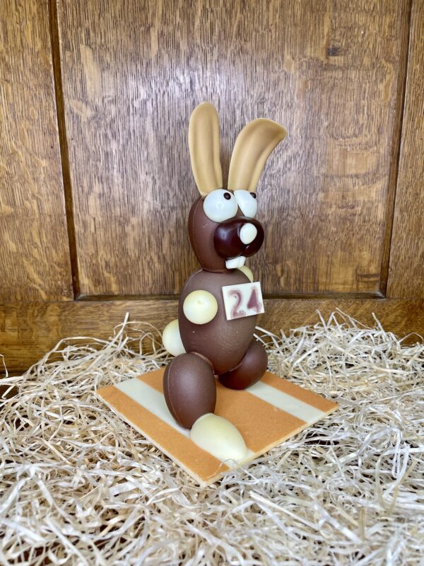 Le lapin en pleine course – Image 2